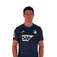 Sport Bundesliga Sticker by TSG Hoffenheim