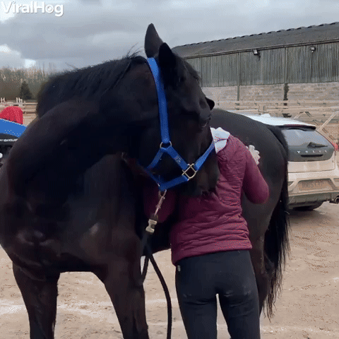 Scratch My Back (or Hip), and I’ll Scratch Yours