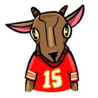 Super Bowl Football Sticker by NFL