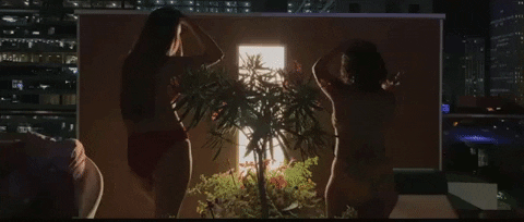 North Carolina Video GIF by Sam Pomerantz