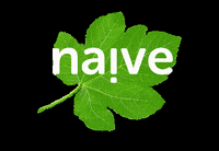 thenaivecompany naive thenaivecompany naivecoffee GIF