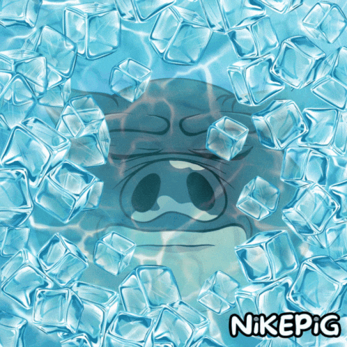 Freezing Ice Cold GIF by Nikepig