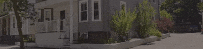 GIF by Wilson Group