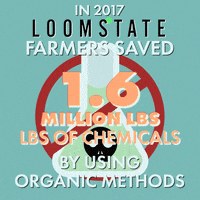 fashion india GIF by Loomstate