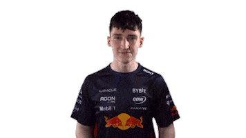 Red Bull Sr Sticker by Oracle Red Bull Racing
