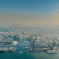 Kaohsiung GIF by Gifs Lab