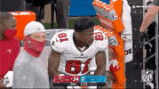 Regular Season Football GIF by NFL