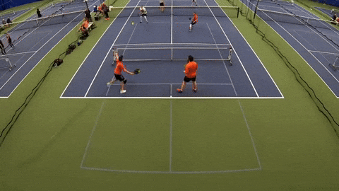 Phòng thủ cú Erne trong pickleball