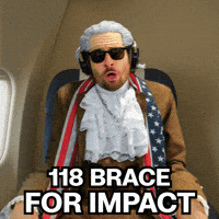 Bracing Airplane Crash GIF