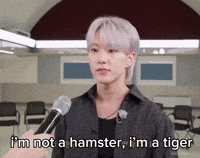 Tiger Hamster GIF
