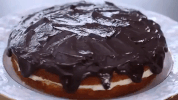 Boston Cream Pie Recipe GIF by Priya