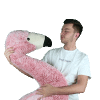 flamingo what Sticker by Keytoe