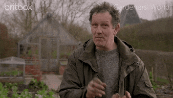 bbc yes GIF by britbox