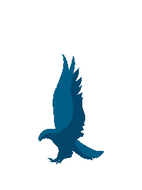 Harry Potter Raven Sticker by Magicalifestyle