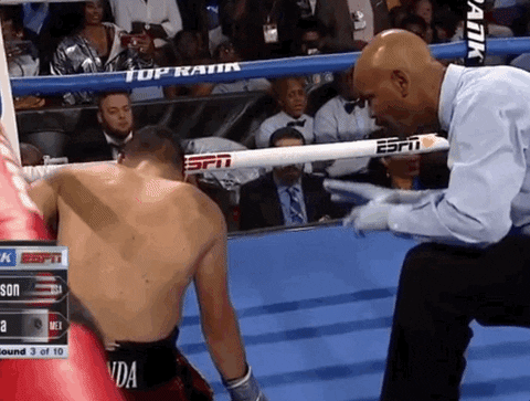 toprank giphyupload fight boxing fighting GIF