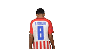 Football Soccer Sticker by Gulf United FC