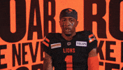 Football Celebration GIF by BC Lions