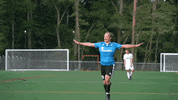 Lbfc GIF by Lionsbridge FC
