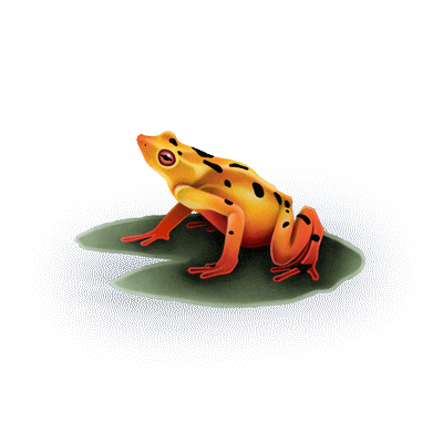 sticker frog by A Summer's Tale Festival