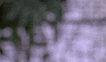 Celebrate Young And Restless GIF by CBS