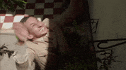 telemundo GIF by Celia