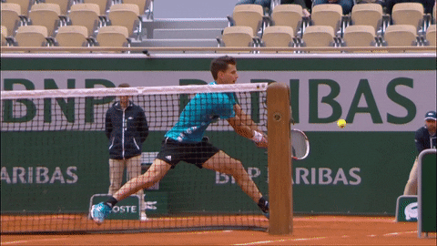 dominic thiem sport GIF by Roland-Garros