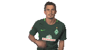 sticker searching by Bundesliga
