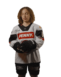 Ice Hockey Logo Sticker by deb_teams