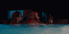 spring break GIF by A24