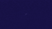 Crypto Invest GIF by ProBit Global