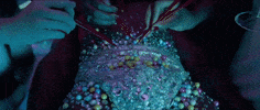 hungry hippo GIF by Tierra Whack