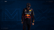 Ver Red Bull GIF by Oracle Red Bull Racing