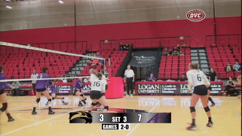 celebration volleyball GIF by SIUE Cougars