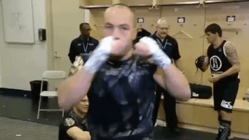 ufc 205 GIF