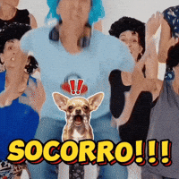 Socorro GIF