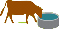 beef STICKER