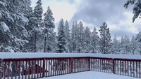 Snowfall Blankets Tahoe Basin