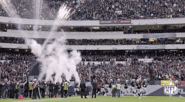 Oakland Raiders GIF by NFL
