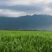 Drone GIF by Agrs Drones Agrícolas