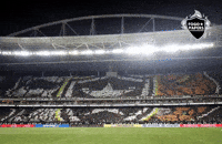 Bfr Alvinegro GIF