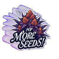 Weed Seeds Sticker