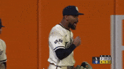 Celebrate Minnesota Twins GIF by MLB