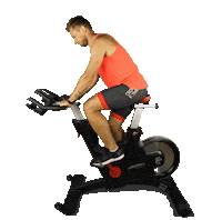 Crocus_Fitness fitness фитнес crocus крокус Sticker