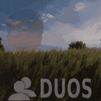 Teaming Battle Royale GIF