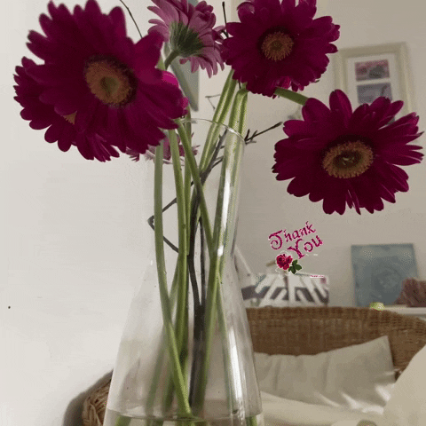 selbstprojekt giphyattribution GIF