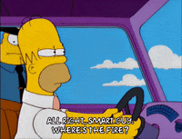 homer simpson episode 6 GIF