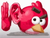 Excuse Me What GIF