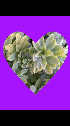 Simongip giphyupload GIF