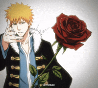 Bleach Anime GIF