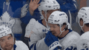 Happy Toronto Maple Leafs GIF by NHL